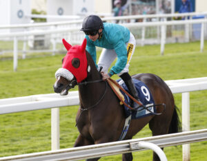 20J0717 Simplify