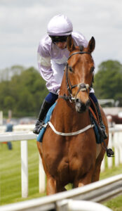 20J0931 Stratocracy
