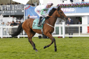 20J6108 Persuasion