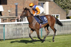 20J8299 Northern Champion