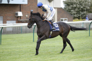 20J8870 Runswick