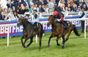 78F7053 Ellusive Butterfly
