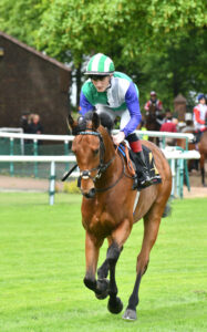 DSC 0045 Moonrunner