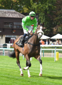 DSC 0094 Wen Moon