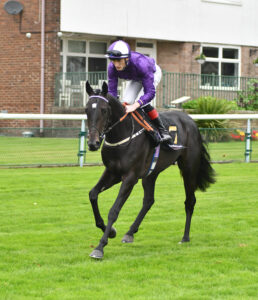 DSC 0135 Poker