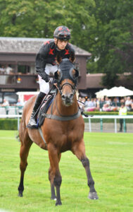 DSC 0347 Justcallmepete
