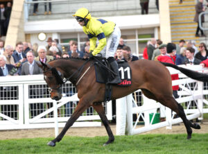 FU0E6943 Peaky Boy