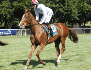 20J0310 Oceans Four