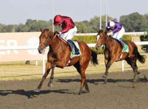 20J3744 Spirit Tango