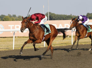20J3748 Spirit Tango