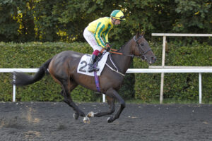 20J3874 Baileys Khelstar