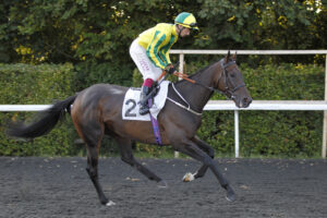 20J3875 Baileys Khelstar
