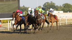 20J3924 Baileys Khelstar