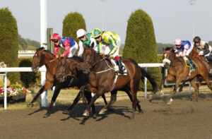 20J3938 Baileys Khelstar