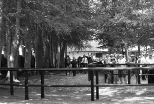 FU0E4067 Shaded Newmarket pre parade ring