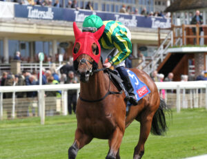 FU0E6767 Will Scarlet