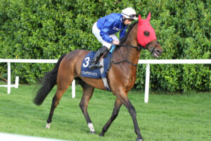 FU0E9293 Arabian Light