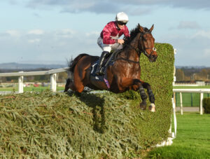 Mahons Glory 2 2