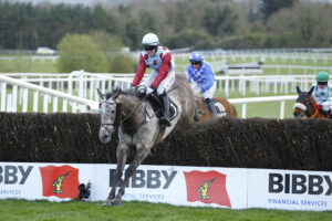 16B0470 Irish Cavalier