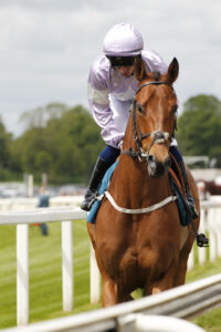 20J0931 Stratocracy