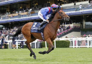 20J5894 Dubai Honour