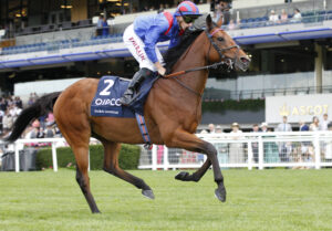 20J5895 Dubai Honour