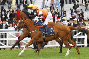 78F0069 Revels