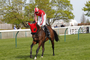 78F1732 Major Neigh Slayer