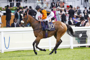 78F1892 Royal Zabeel