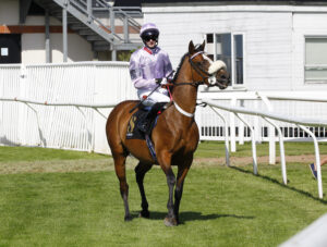 78F2691 Vixey