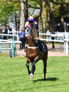 DSC 0058 Croupier