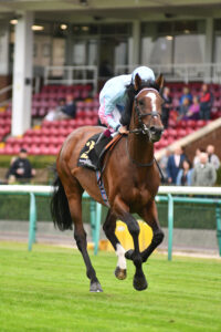 DSC 0204 Klassleader