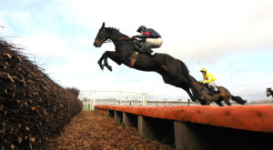DSC 0870 Bigbadjohn