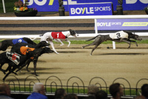 20J2739 Ballymac Setanta