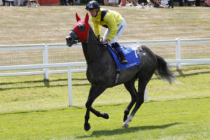 20J3314 Getreadytorumble