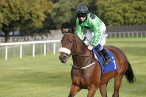20J3476 The Good Biscuit