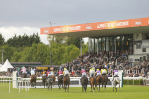 78F4194 Uttoxeter Stands
