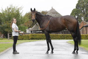 20J6259 Kalpana