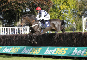 20J6775 Folie Golith