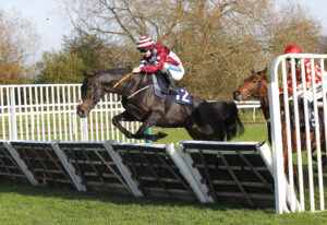 20J7107 Merry Wood