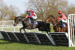 20J7108 Merry Wood