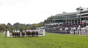 78F6835 All hurdle racing at Chepstow
