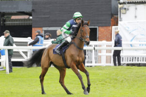 78F7816 Albie Littlewood