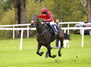 78F7977 Ballydine Boy