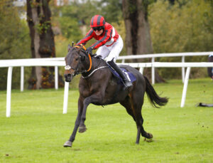 78F7979 Ballydine Boy