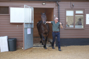 EN4D6129 Wootton Bassett colt x Loch Lein