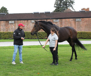 EN4D6335 Andrew Balding   Kalpana