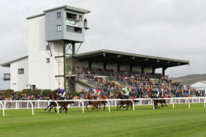 FU0E6228 Ffos Las Stands