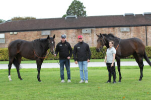 FU0E6802 Andrew Balding   Blue Bolt   Kalpana